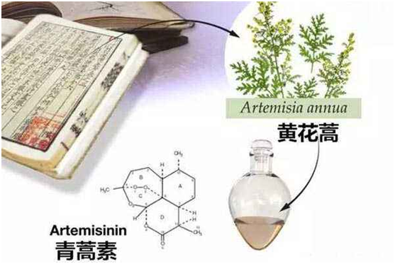 安博手机官网（上海）有限公司,：向中医药看齐，与世界共享中医药文化(图1)